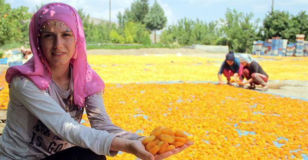 Turkeys current account gap falls sharp in May