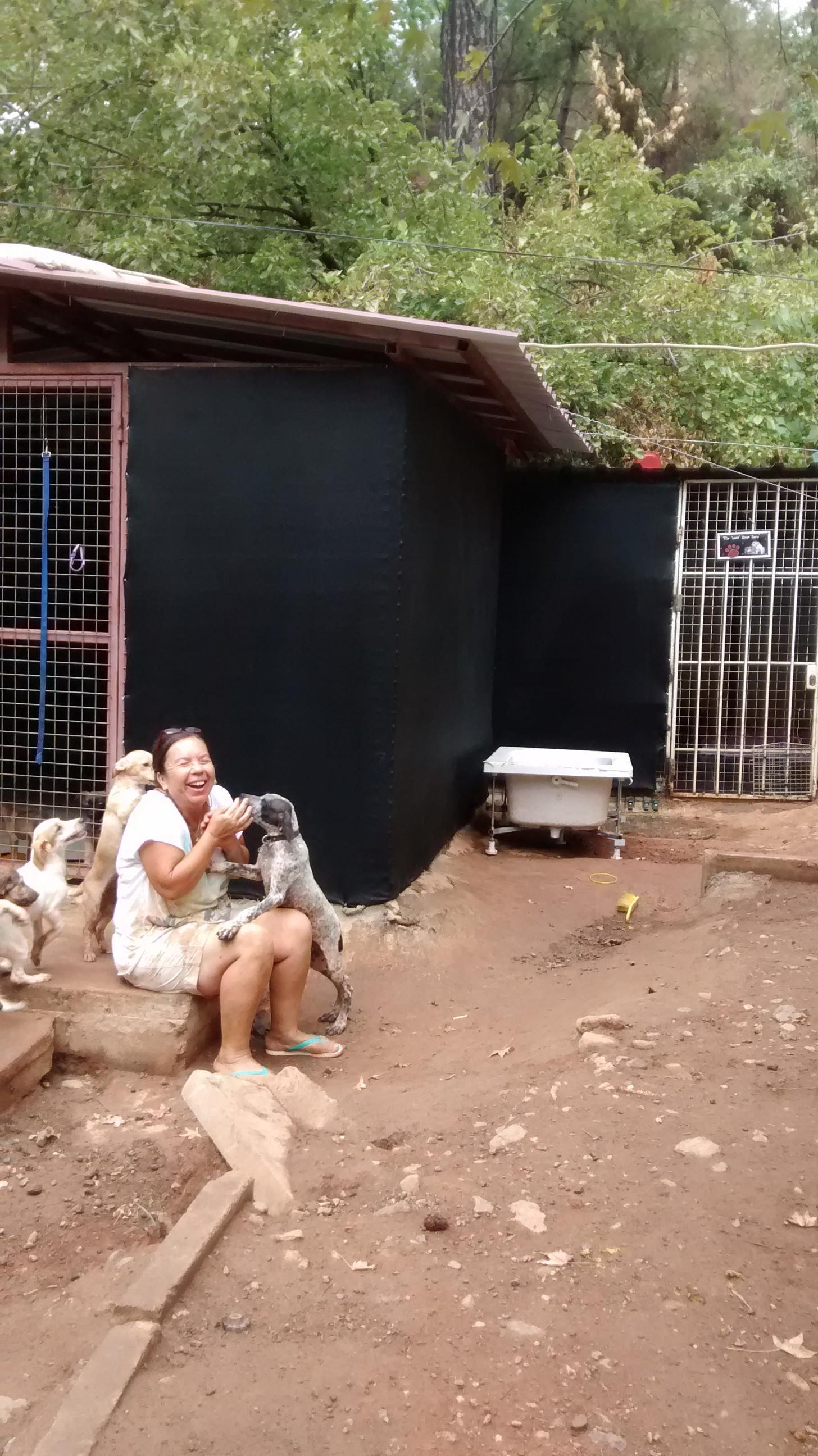 For the love of dogs