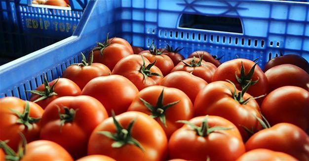Technical infrastructure for early warning system on food prices in Turkey to be completed soon