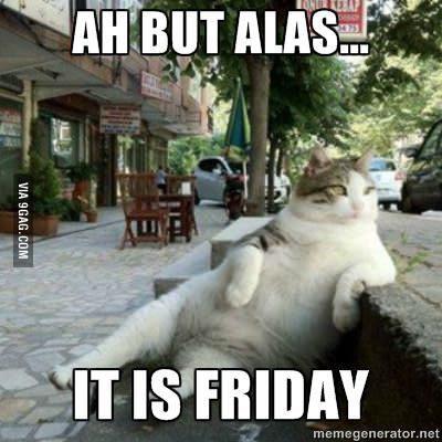 Sculpture of Istanbul’s cat phenomenon ‘Tombili’ to be inaugurated on Oct 4