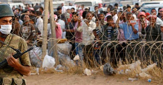 Trump says safe zones in Syria should have been built for combatting refugee crisis