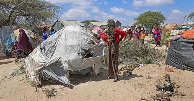 Somalia receives almost $1 billion worth of Turkish aid