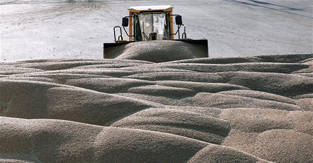 Turkish mills buy EU, Black Sea wheat to replace Russian imports