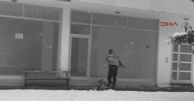 VIDEO: Man covers stray dog with coat amid cold weather in Turkey’s Giresun