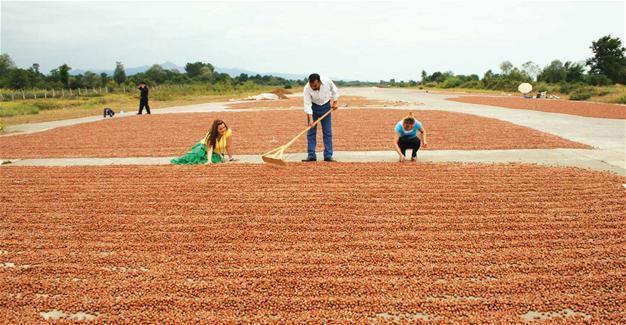 Gov’t to build three new airports in Anatolian provinces