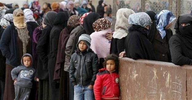 Nearly half a million Syrians have returned home this year: UNHCR
