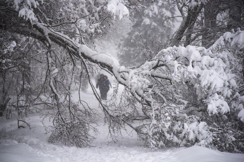 Heavy snow knocks downs thousands of trees in Moscow; one dead