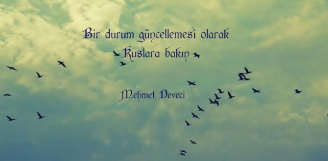 Güzel Sözler 2024 - Özlü Sözler, Anlamlı Sözler ile Sevgiliye Etkileyici, Romantik, Resimli, Uzun ve Kısa Mesajlar