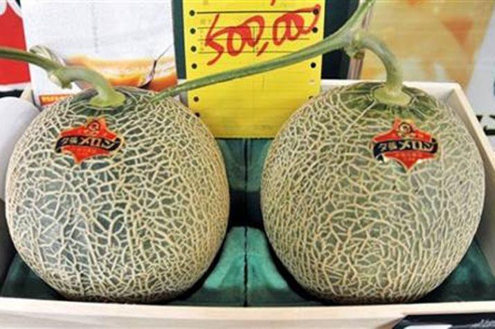 Pair of Japanese premium melons sell for record $29,300