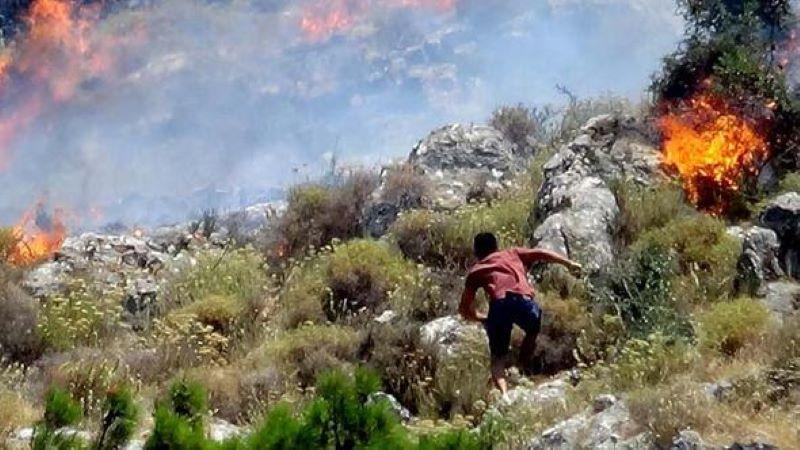 Forest fire consumes 25 acres of land in NW Turkey