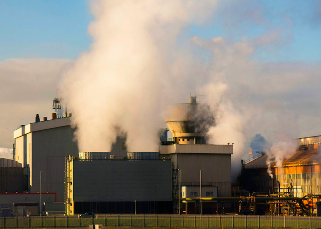 Turkeys industrial output climbs in January