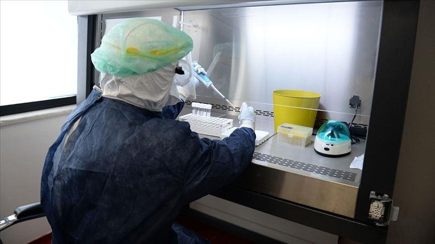 Fenerbahçe employee tests positive for COVID-19