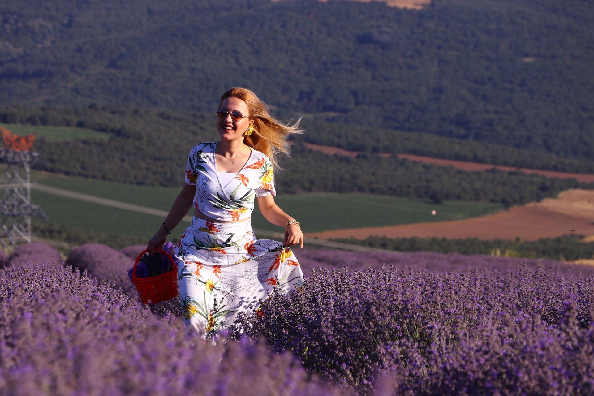 lavender fields of Tekirdağ