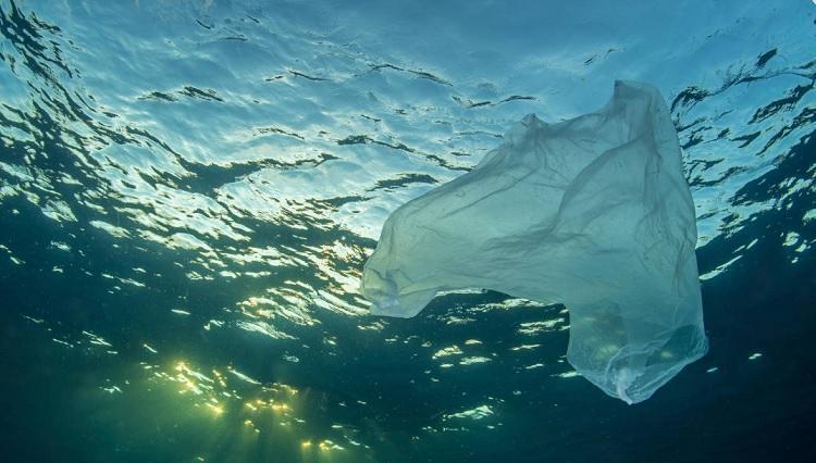 Plastic waste level in seas increases as Turkish waters at risk ...