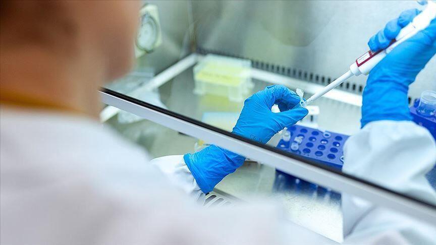 Human trials for indigenous vaccine to start within 10 days in Turkey