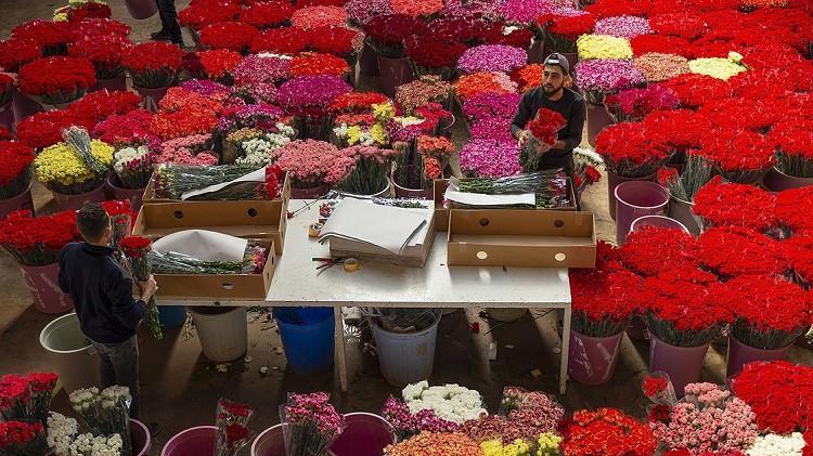 Turkey exports flowers to 83 countries in 2020