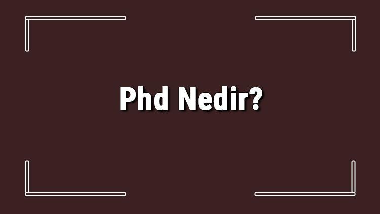 phd student nedir