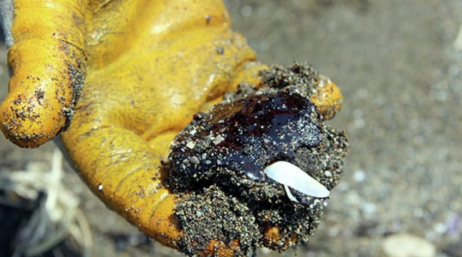 Syrian oil leak threatens marine life on Turkish coasts