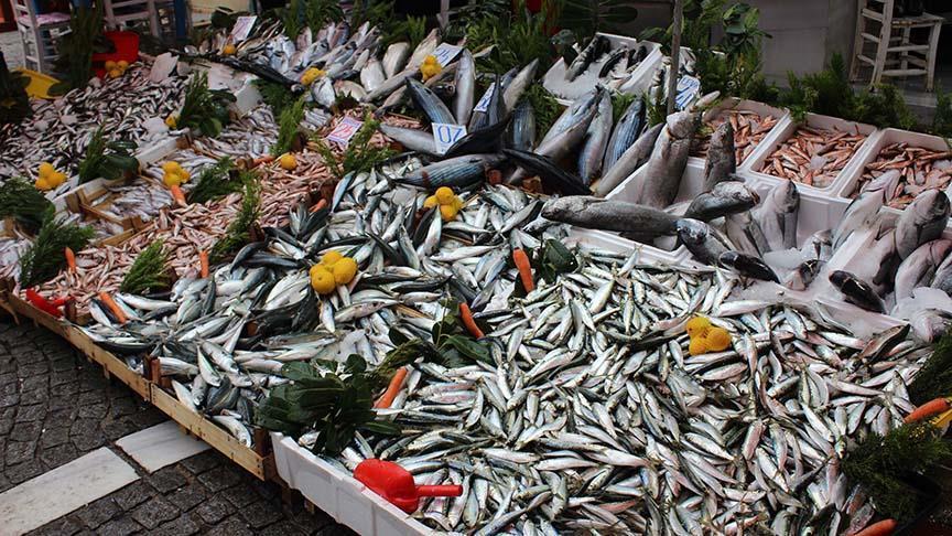 No problem with consuming fish despite mucilage: Official - Türkiye News