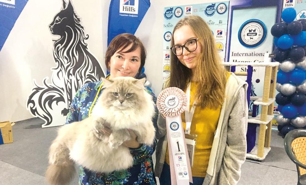 Cat named Lova wins intl contest held in Istanbul