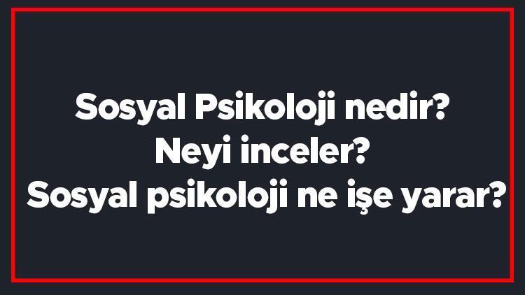 Sosyal Psikoloji Nedir Neyi Inceler Sosyal Psikoloji Ne Işe Yarar