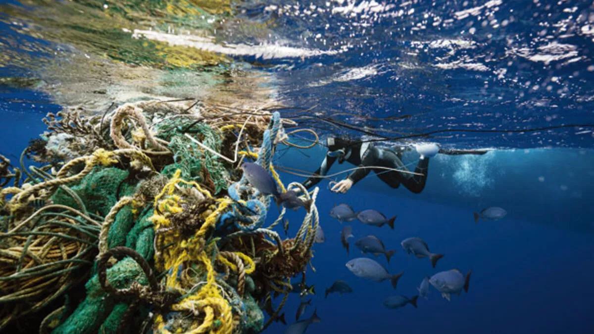 The Deadliest Debris in Our Oceans – What are Ghost Nets? - Lochtree