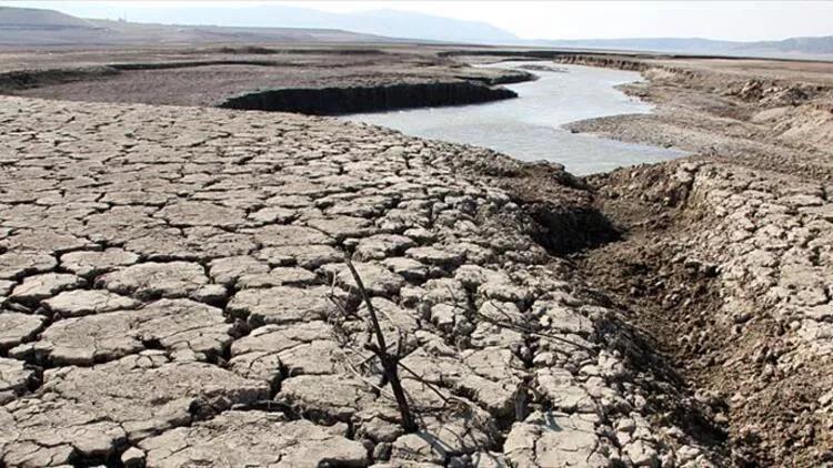 65 pct of Türkiye at risk of desertification: Report - Türkiye News