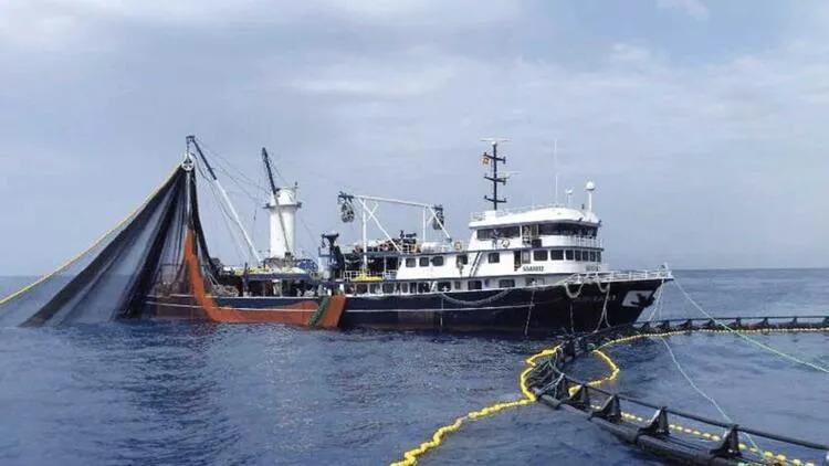 Bluefin tuna fishing season begins - Türkiye News