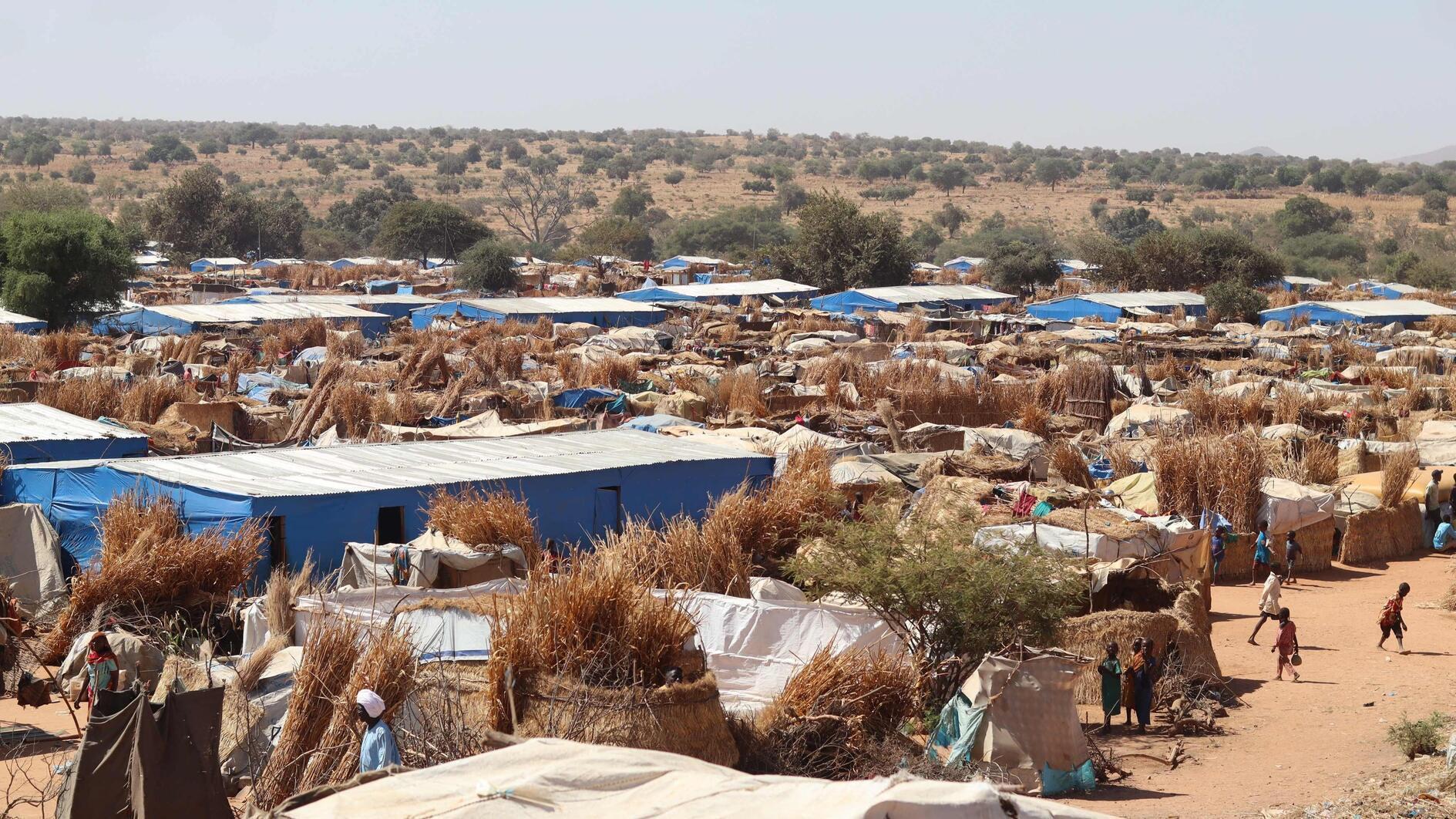 Creeping war threatens Sudan's eastern border - World News