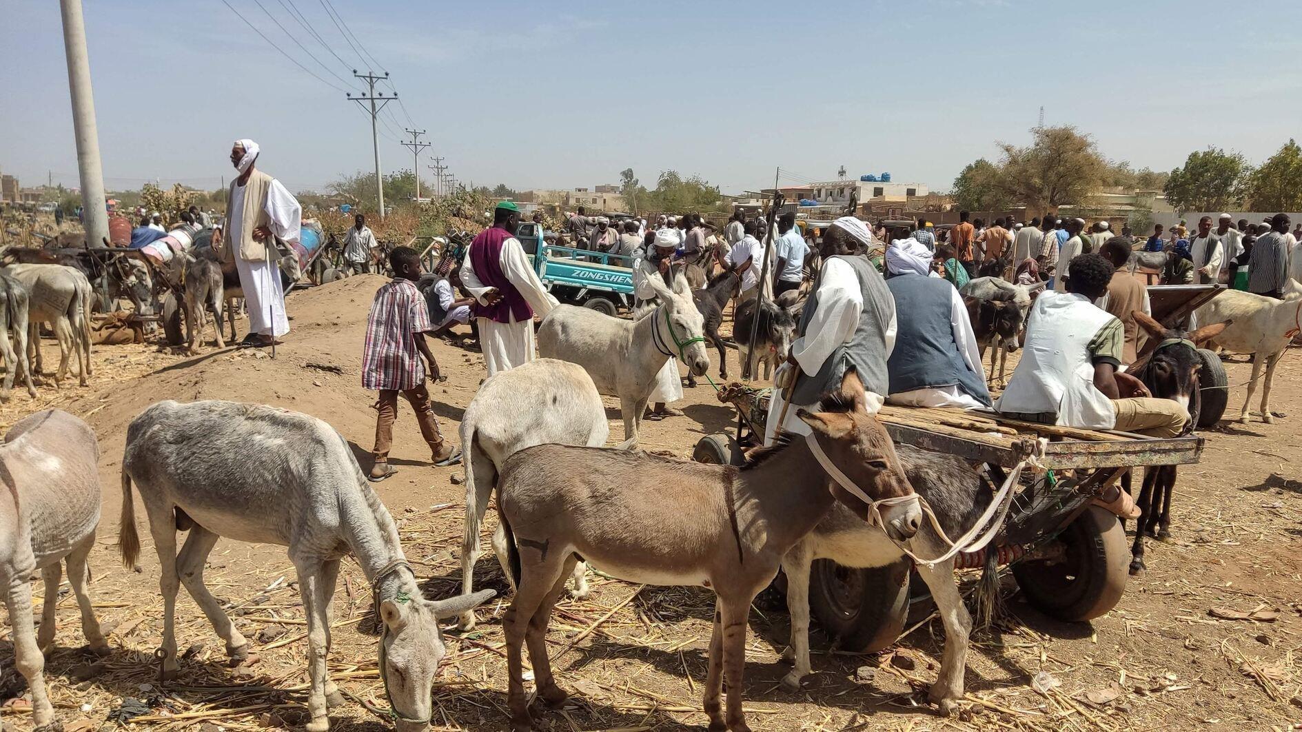 Sudan Soon To Be World S Largest Hunger Crisis WFP World News   65e8777d2d5b4e4e7f203433 