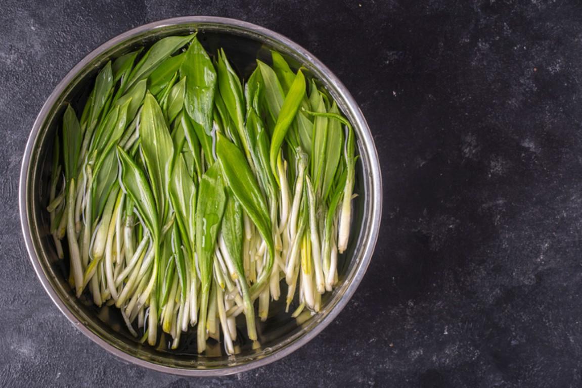 Faydaları ve lezzetiyle son dönemlerin en popüler bitkilerinden biri ...
