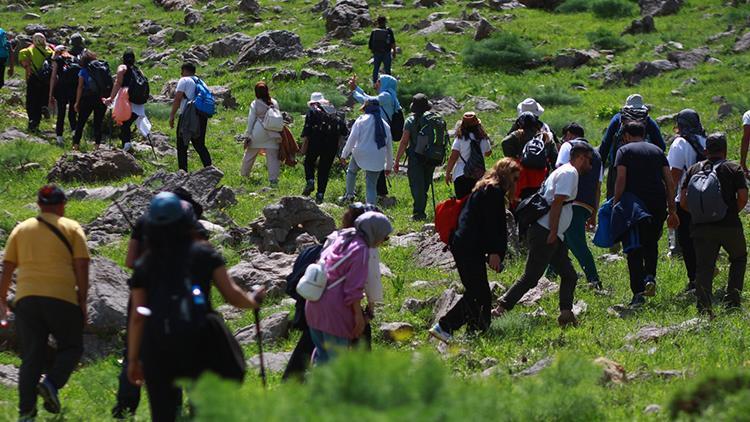 Dağın zirvesinde açıyor ve sadece 20 gün canlı kalıyor: Görmek için şehir dışından geldiler