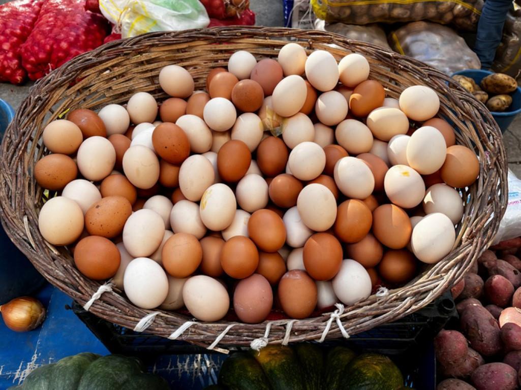 Kahverengi mi, beyaz mı Hangi yumurta daha sağlıklı