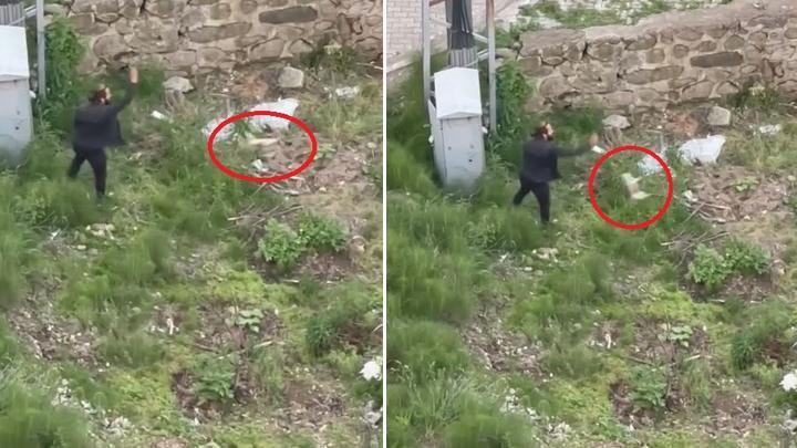 Trabzon'da vahşet Tekmelediği yavru kediyi ezerek öldürüp fırlattı İfadesi 'pes'
