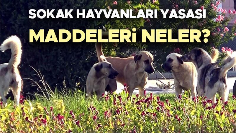 Sokak hayvanları uyutulacak mı son durum ne (31 Mayıs 2024) | Sokak hayvanları yasası maddeleri 2024 neler? Taslak Meclis'te! Cumhurbaşkanı Erdoğan'dan...