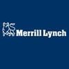 Merrill downgrades Turkish banks