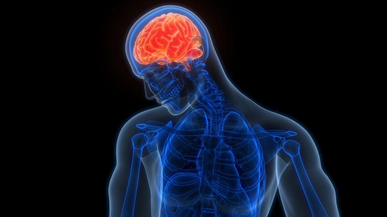 Nedeni bilinmiyor, tedavisi ise yok İşte Celine Dionun yakalandığı korkutucu hastalık...