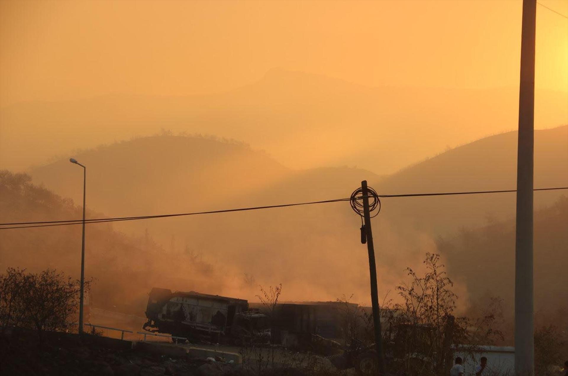 Ciğerlerimiz yanıyor... İzmir, Bolu, Manisa ve Muğla yangınlarında son durum: Çıkış nedenleri belli oldu