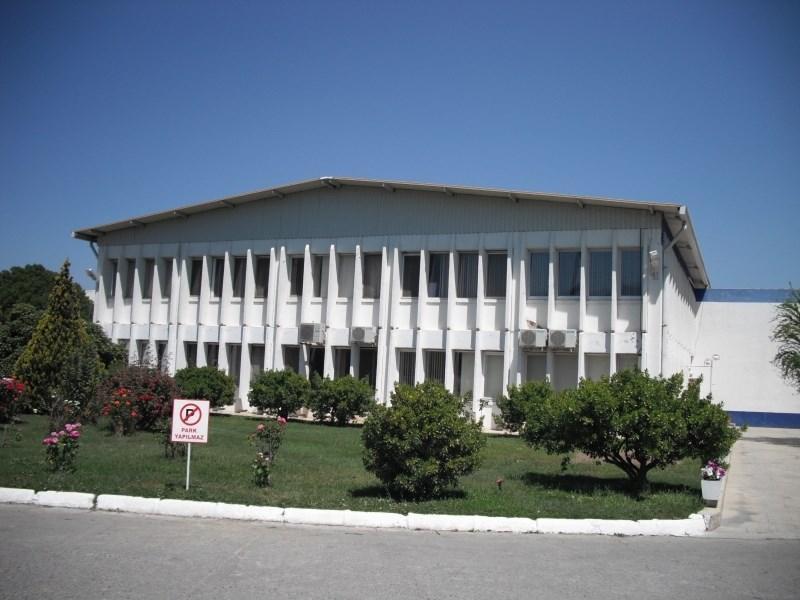 En fazla yükselen 10 hisse...