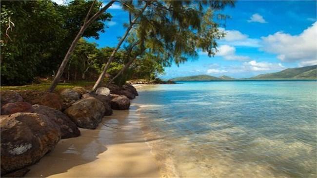 14-Turtle Island / Fiji 14-Turtle Island / Fiji