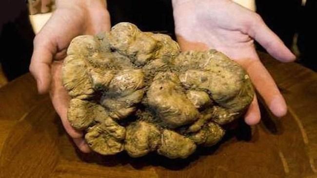 İşte milyarderlerin o harcamaları