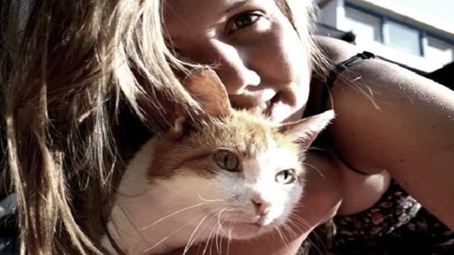 Kedi köpekli fotoğraf