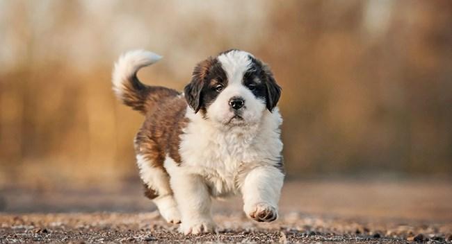 3. Hizmetler 3. Hizmetler