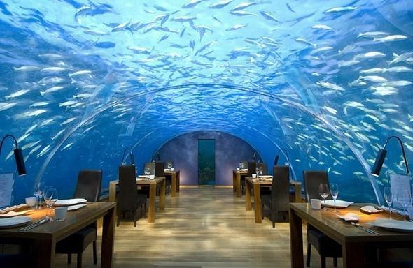 Ithaa Undersea Restoran