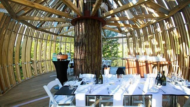 Redwoods ağaç evi restoranı