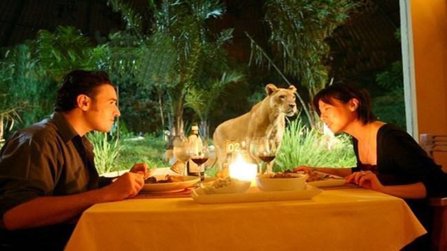 Tsavo Lion Restoranı