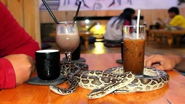 Phu Nhuans Cafe Baboda