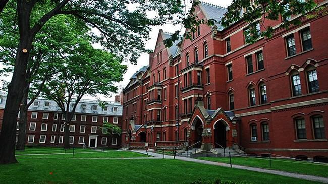 6 Harvard University