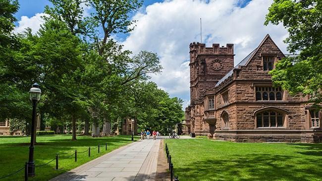 7 Princeton University