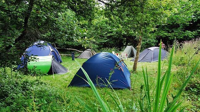 2. Camp in my Garden